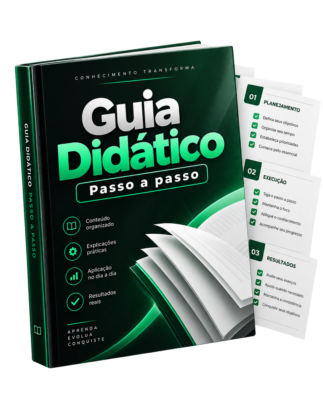 Guia didático passo a passo